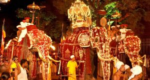 Elephants on Show in Perahera